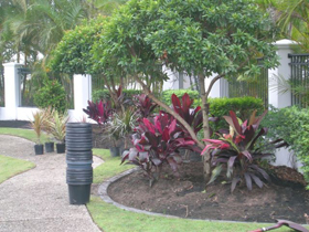 Horticultural services